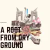 Primavera - A Root from Dry Ground - Single